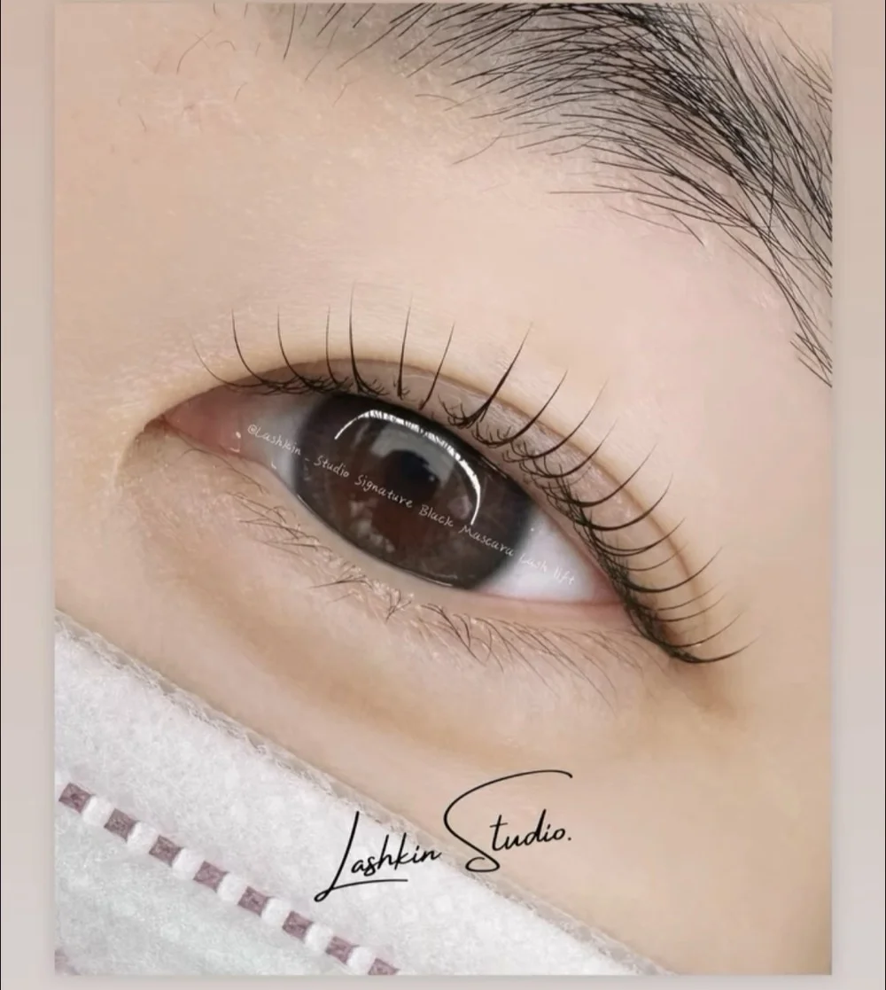 Korean glueless lash lift result
